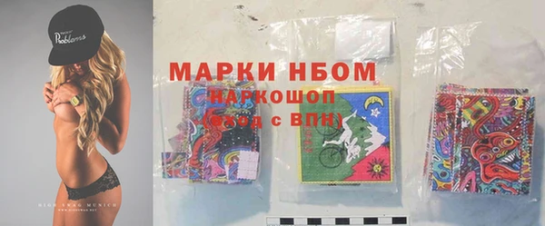 стаф Алексин