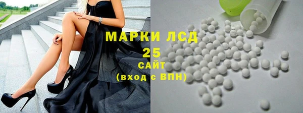 стаф Алексин