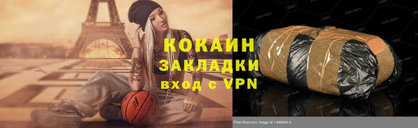 стаф Алексин