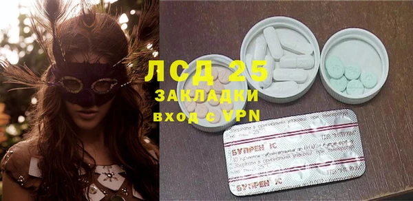 стаф Алексин