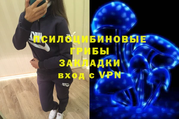 стаф Алексин