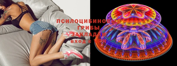 прущий лед Алексеевка