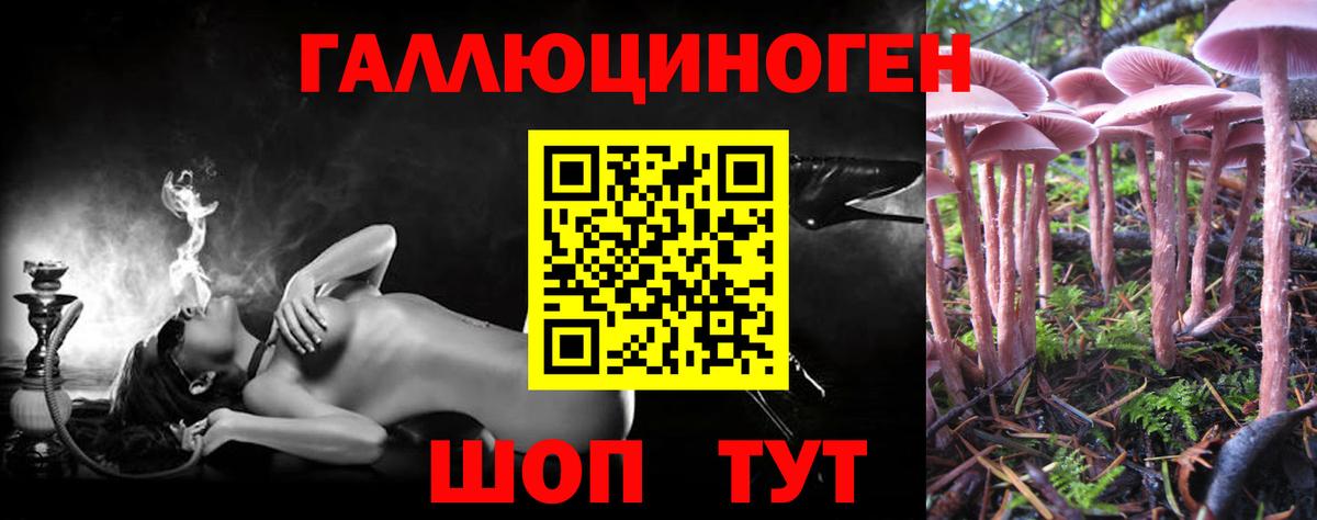 Псилоцибиновые грибы GOLDEN TEACHER  Вход с VPN  Десногорск 