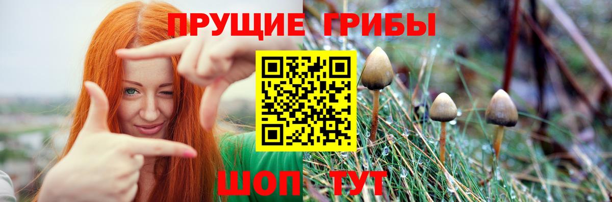 Псилоцибиновые грибы прущие грибы Десногорск